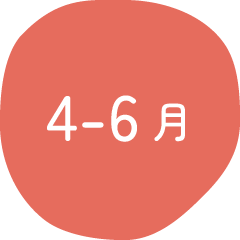 4-6月